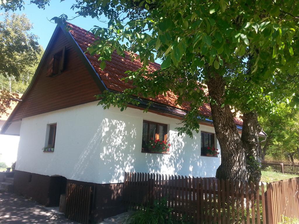 Holiday Home Rizvan City Brusane Εξωτερικό φωτογραφία